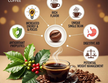 TÂY NGUYÊN COFFEE